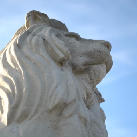 Foundation Academy Winter Garden Lion Statue